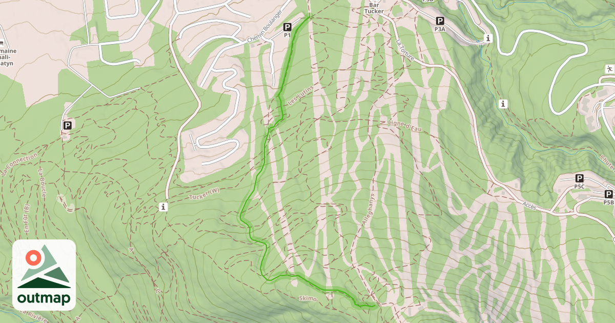 Map of 1 Alleghanys