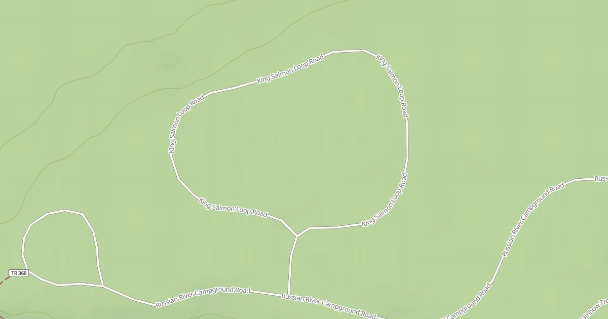 Map preview of KING SALMON LOOP RD