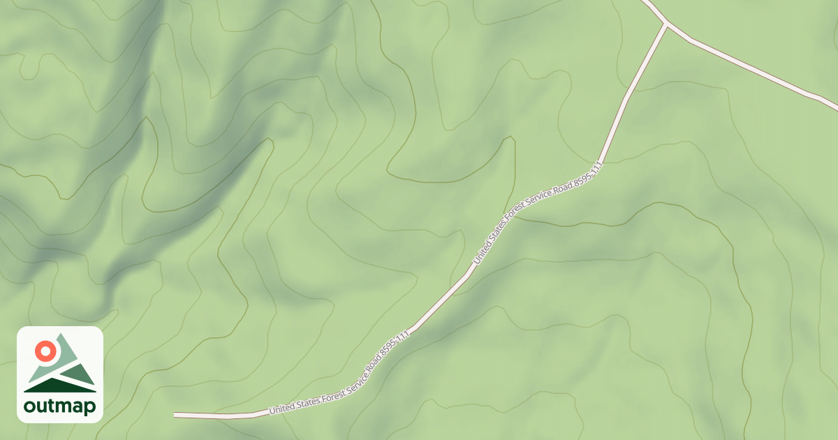 Map of USFS National Forest System Roads {44535CF1-BE75-4A64-A92C-DA604AF71BB6}
