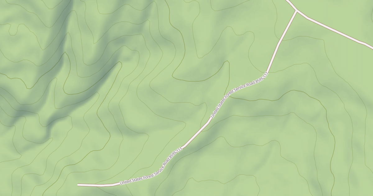 Map preview of USFS National Forest System Roads {44535CF1-BE75-4A64-A92C-DA604AF71BB6}
