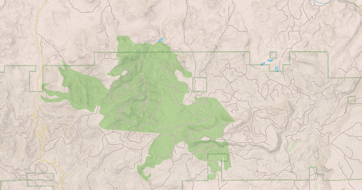 Map preview of USFS Motor Vehicle Use Map Roads {59B0B5CE-DC55-4E72-B762-AC4F88FF5A3A}