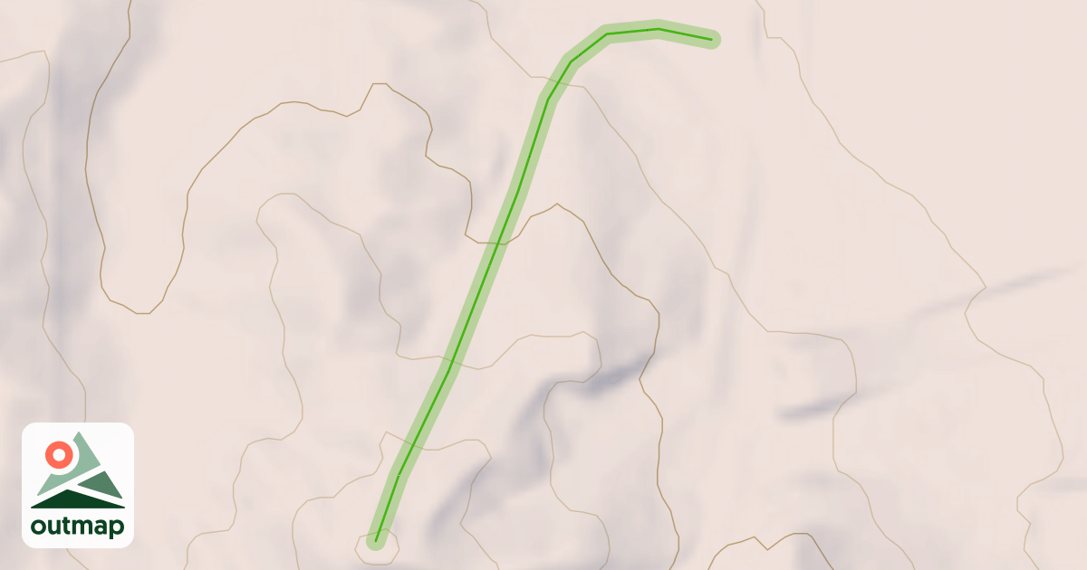 Map of Willow