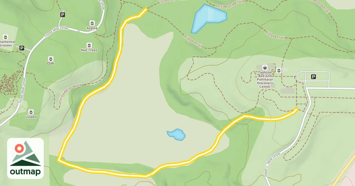 Map of South Ridge Trail Loop