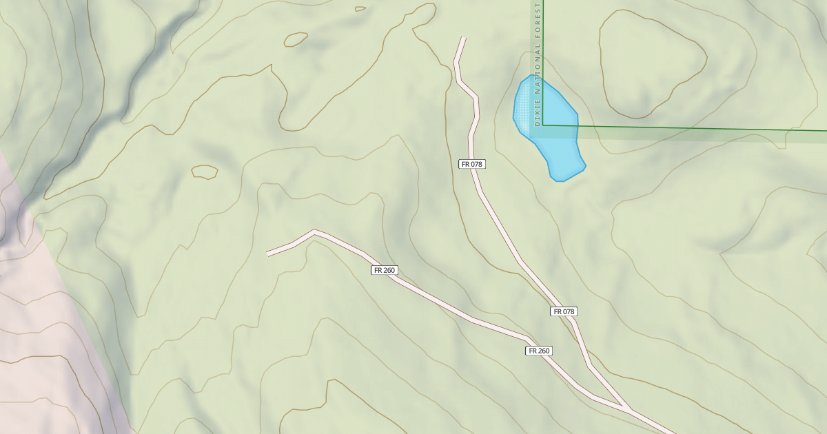 Map preview of LOCAL