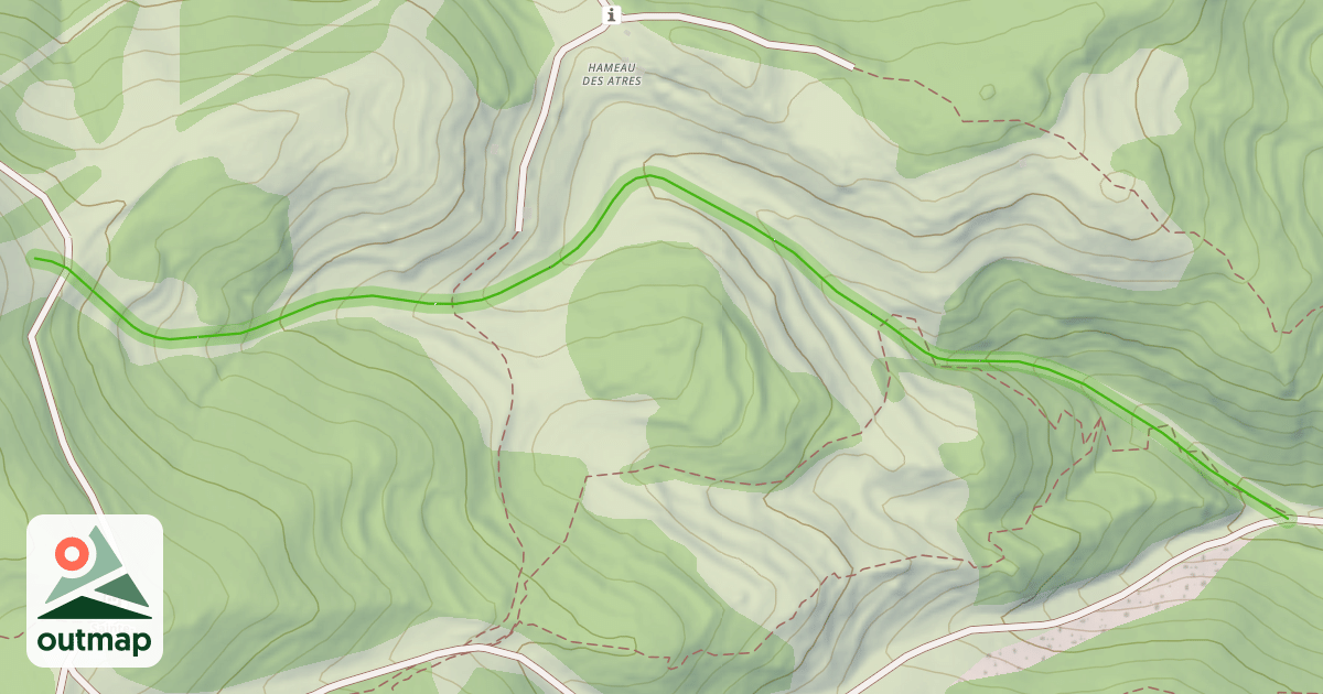 Map of Lupins