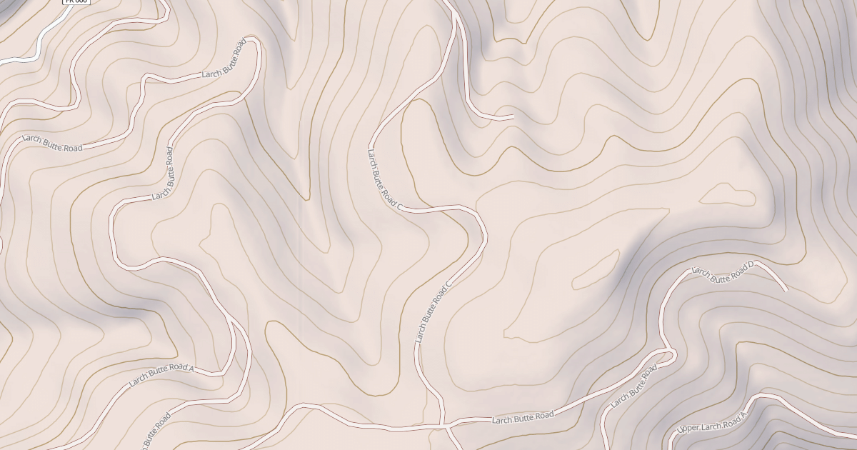 Map preview of LARCH BUTTE C
