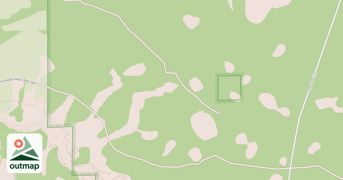 Map of USFS National Forest System Roads {4DCB11C5-E46F-4FAD-AB53-60DF078EF346}
