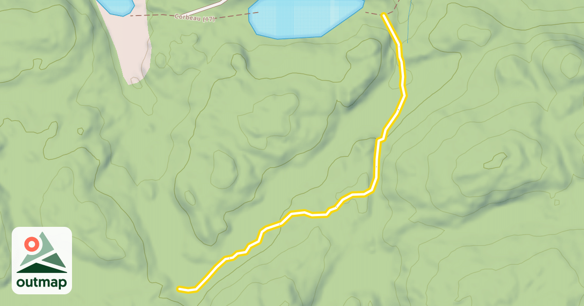 Map of Alpine