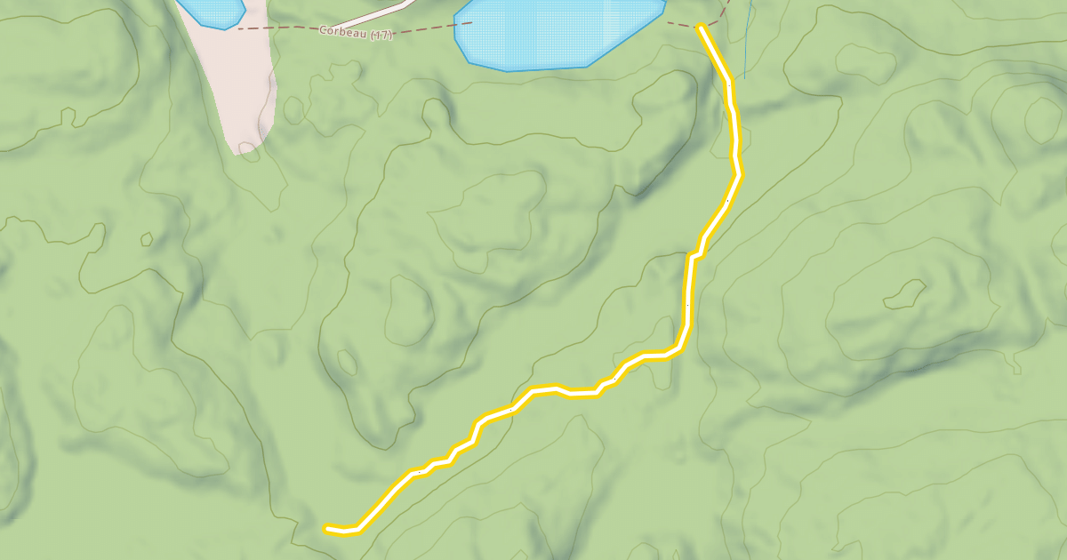 Map preview of Alpine