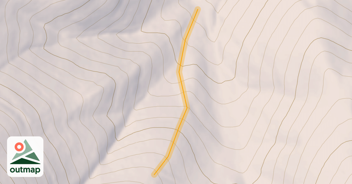 Map of Tamarack Trees