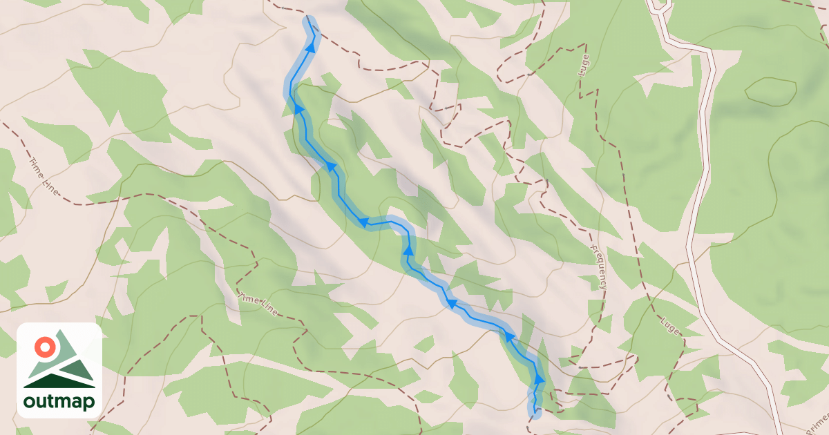 Map of Twisted Trees