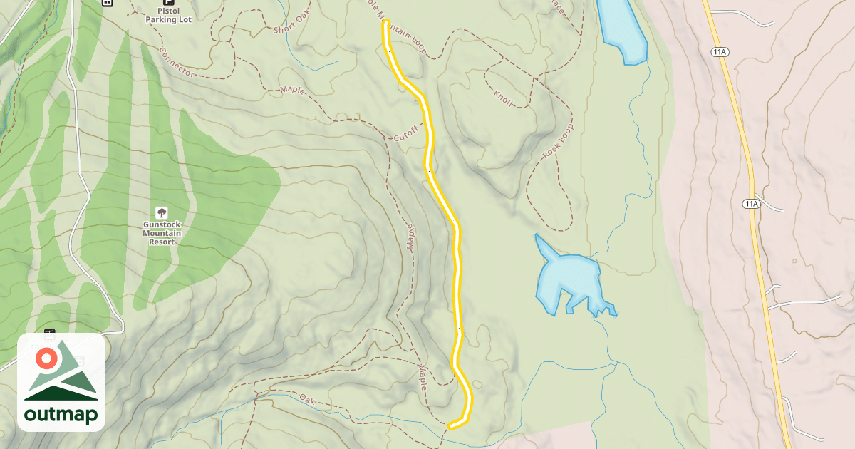 Map of Birch