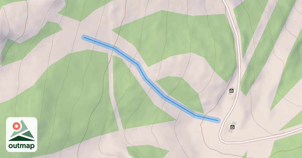 Map of Christmas Tree