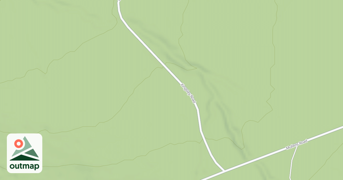 Map of THE BRANCH - D in Forest