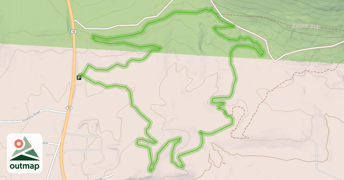 Map of Luna Moth