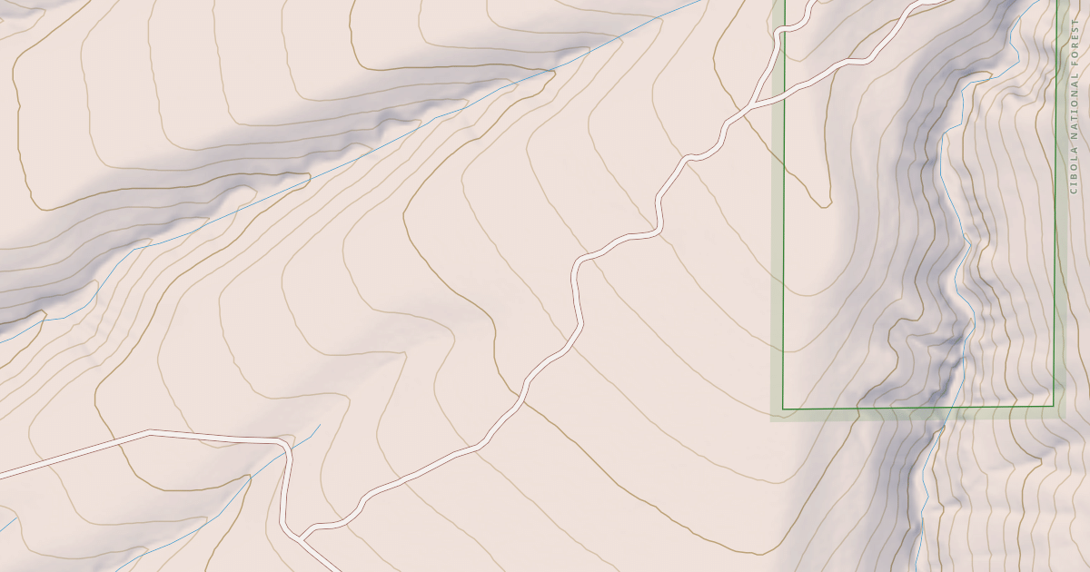 Map preview of USFS National Forest System Roads {9EE84AD7-28DC-4F8E-B4BB-A5D5DAD676A5}