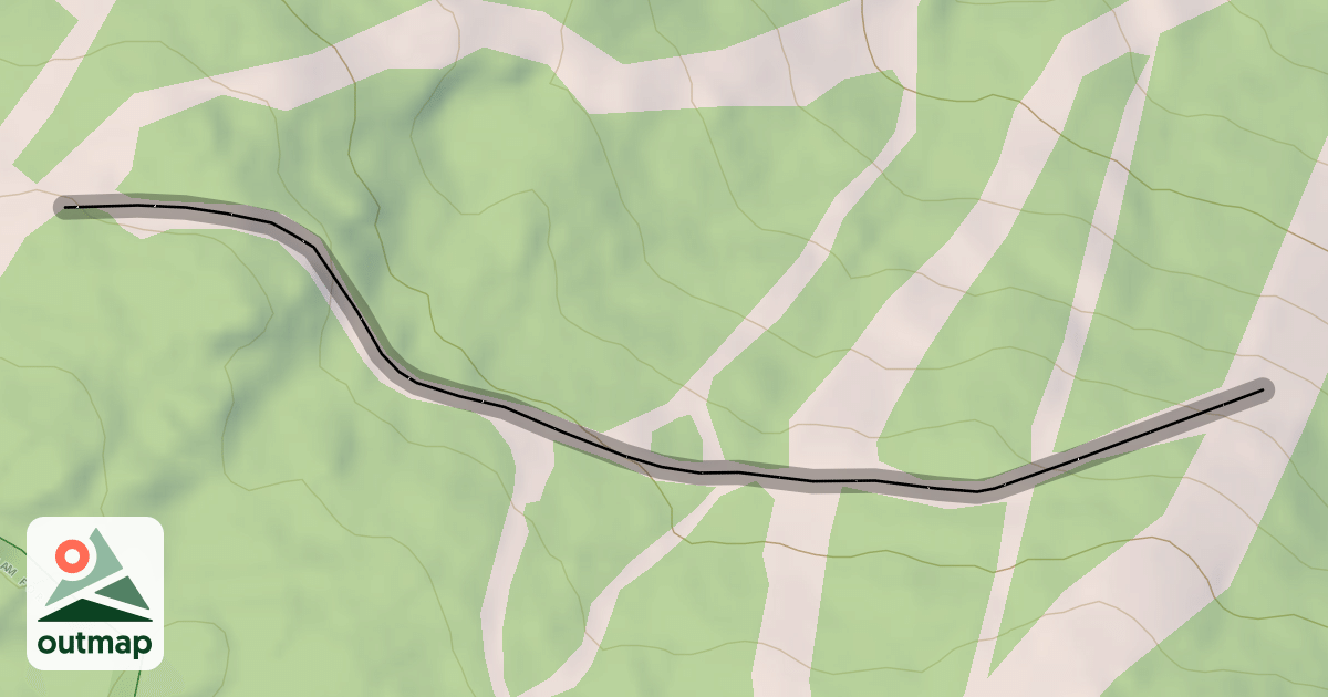 Map of Jungle Road