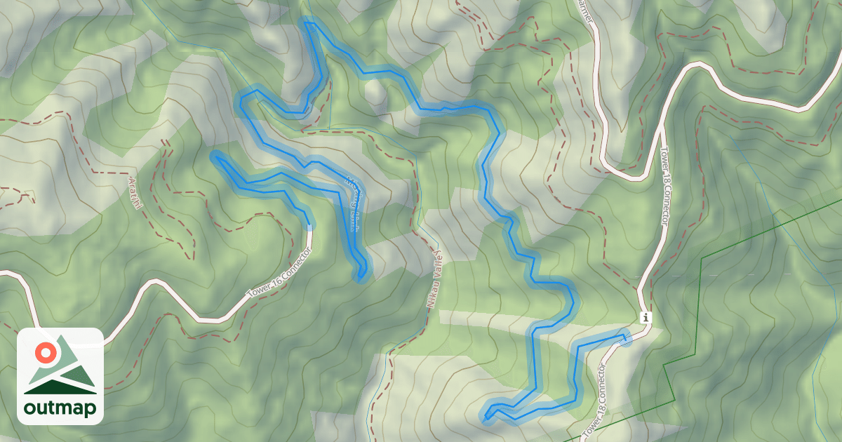 Map of Missing Link