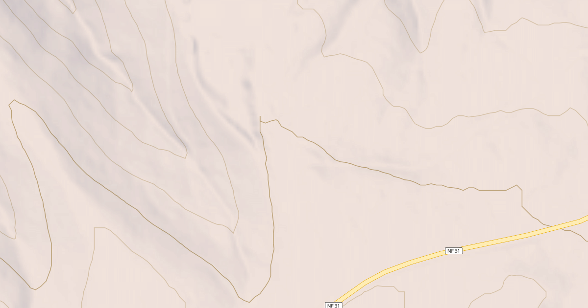 Map preview of USFS Motor Vehicle Use Map Roads {667CB1BC-F8B2-4C71-B9A3-BE82619D0E89}