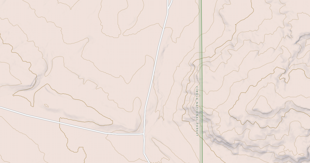 Map preview of USFS National Forest System Roads {272150A4-744F-40C3-91B8-4B04EA5C16DA}