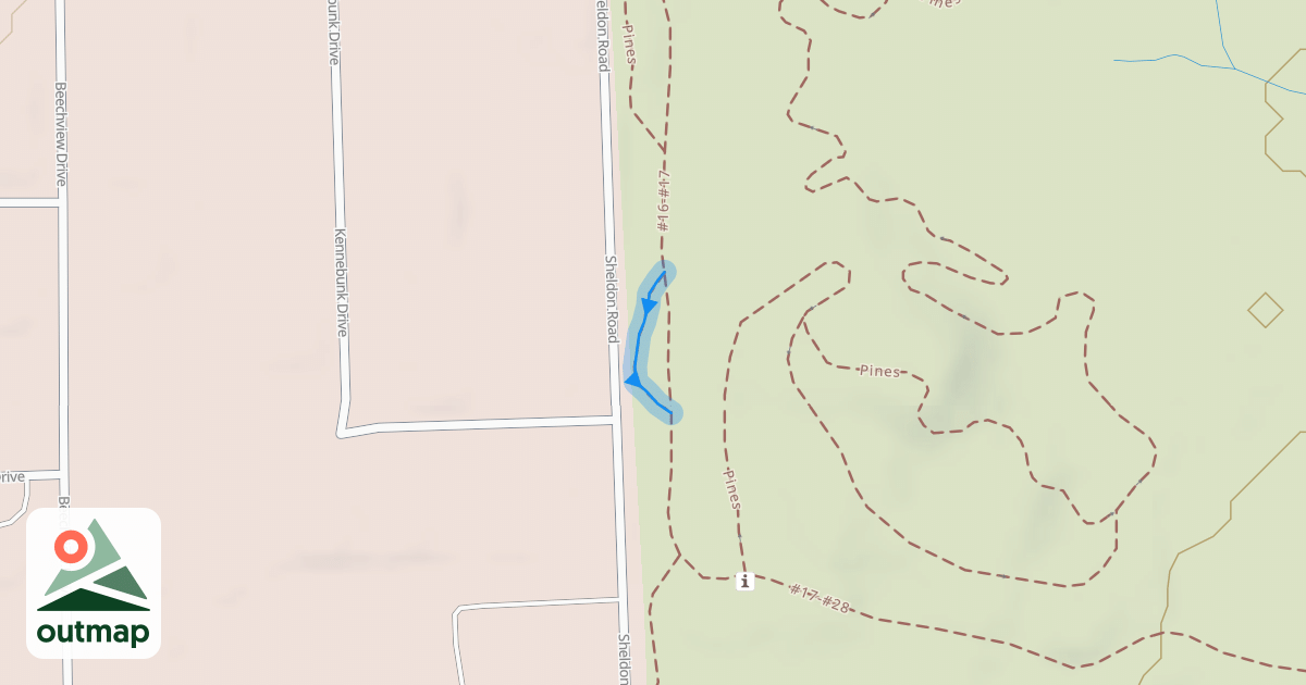 Map of Pines