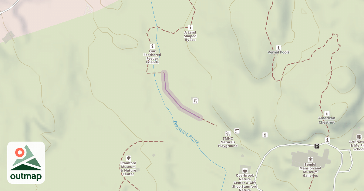 Map of Where in the Woods #7