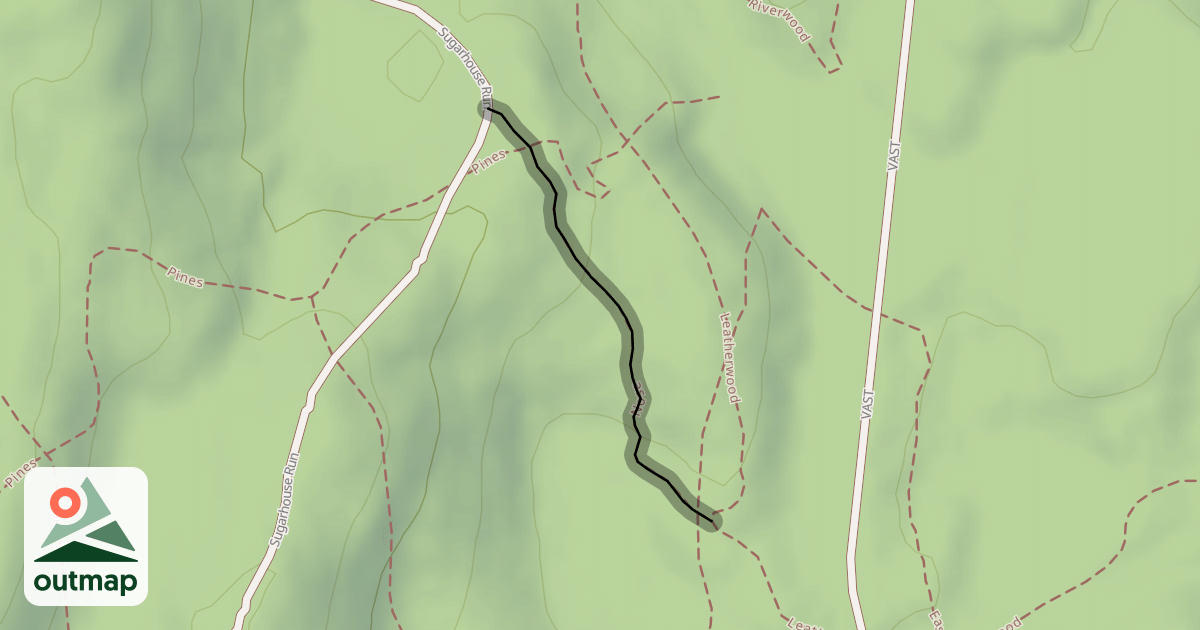 Map of Nose