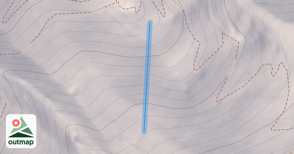Map of FIS