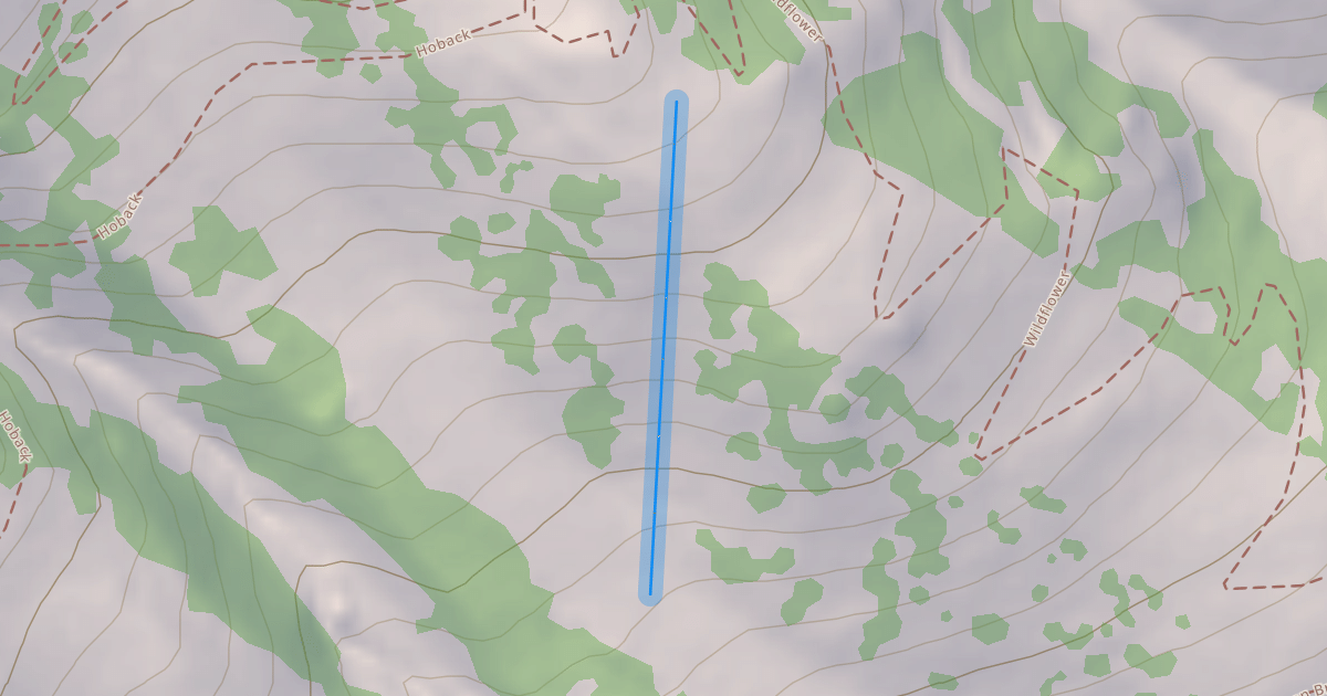 Map preview of FIS