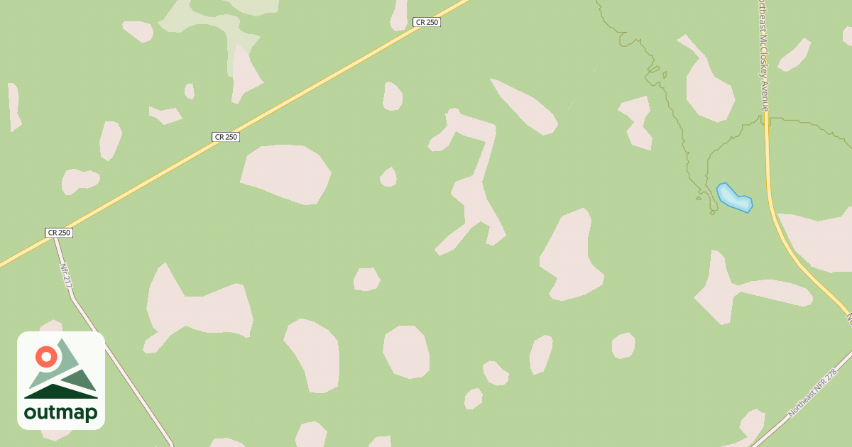 Map of USFS National Forest System Roads {663FDD5A-15FF-44C9-AB3F-33011A5D8BEE}