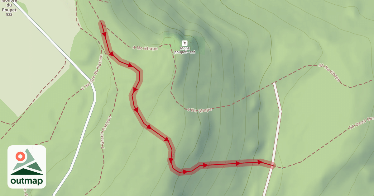 Map of 5 Dead Cervicals