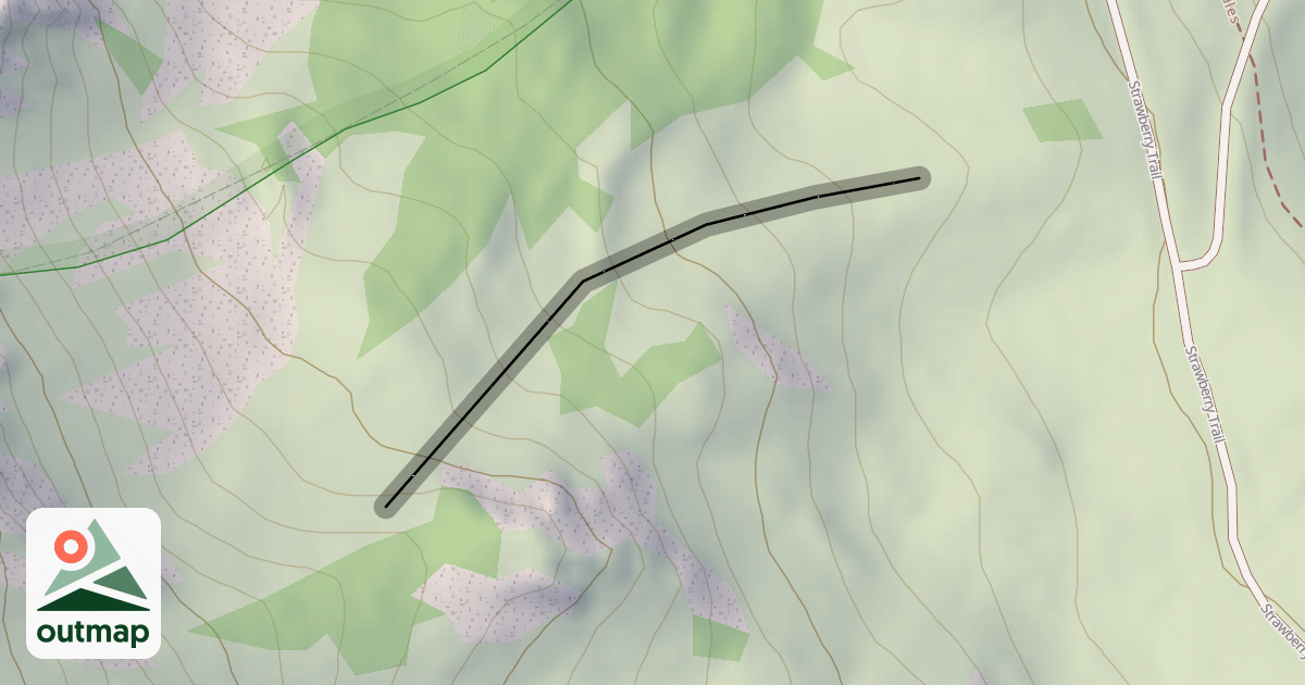 Map of The Walrus