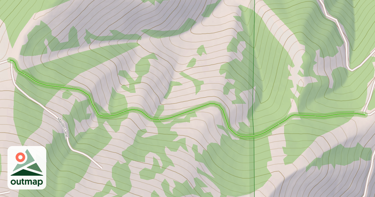 Map of Lilly Marlane