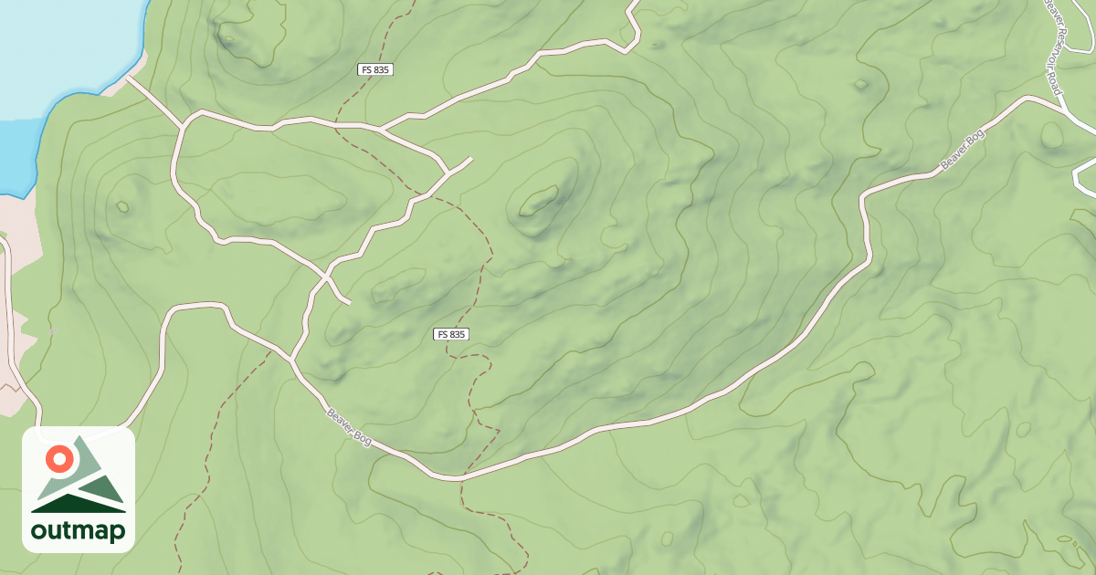Map of BEAVER BOG