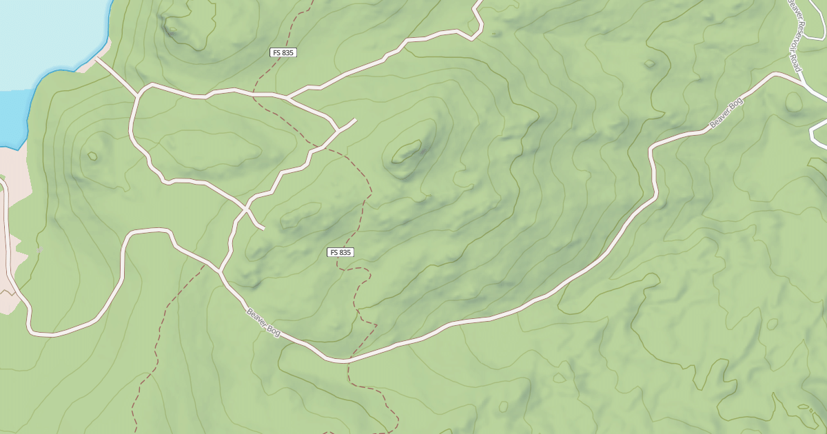 Map preview of BEAVER BOG