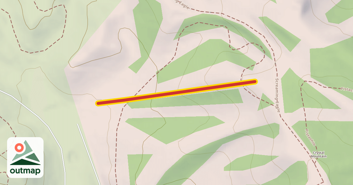 Map of Backyard Triple