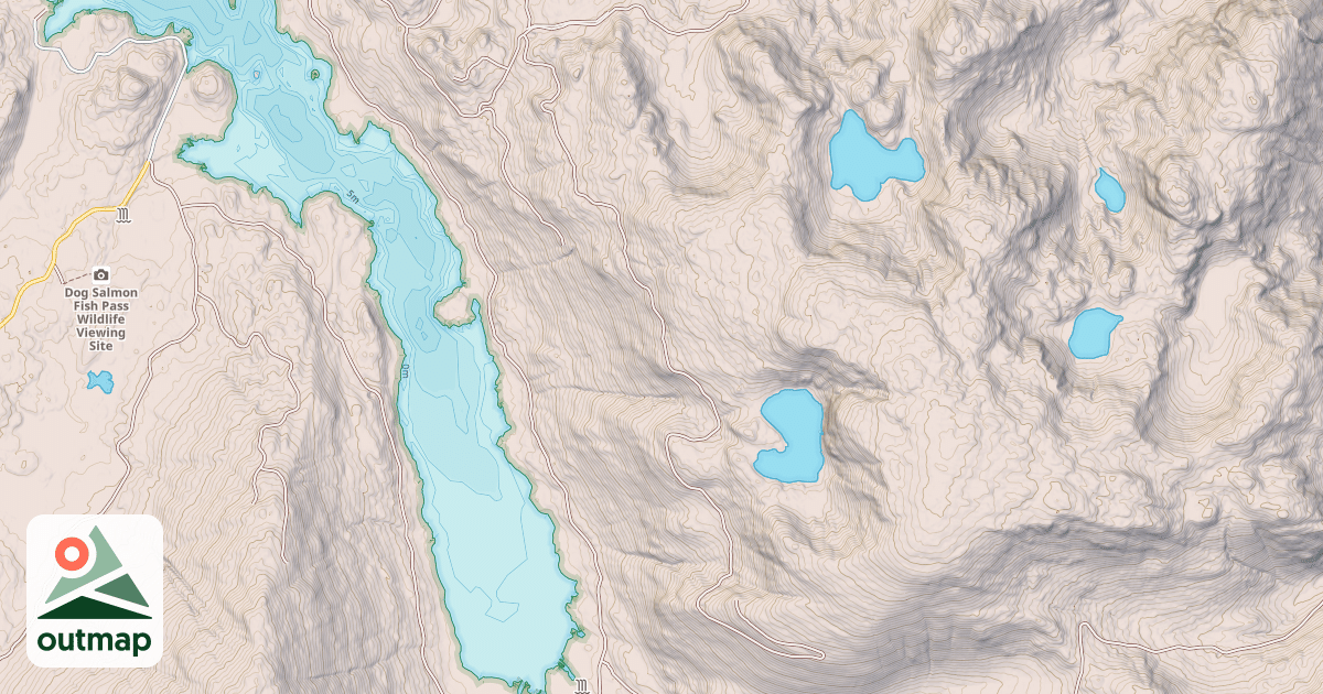 Map of USFS Motor Vehicle Use Map Roads {E7ED1840-D429-4584-BFD9-76BB83A2A49C}