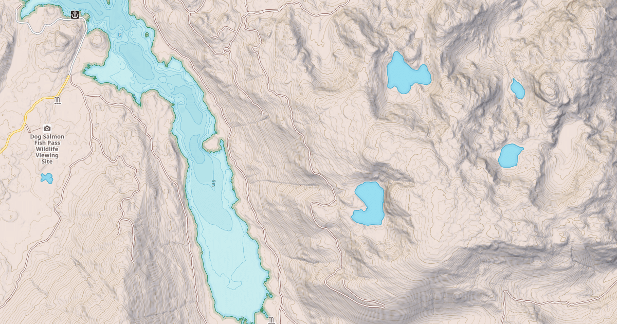 Map preview of USFS Motor Vehicle Use Map Roads {E7ED1840-D429-4584-BFD9-76BB83A2A49C}