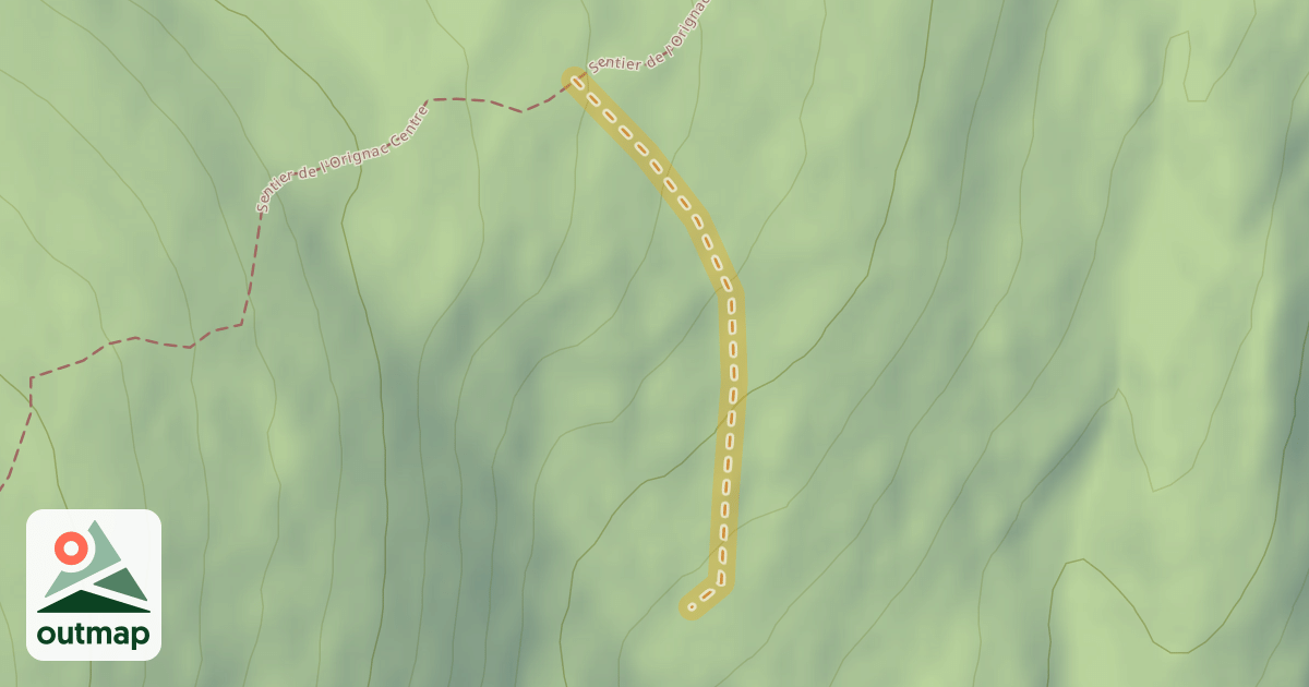 Map of 110m