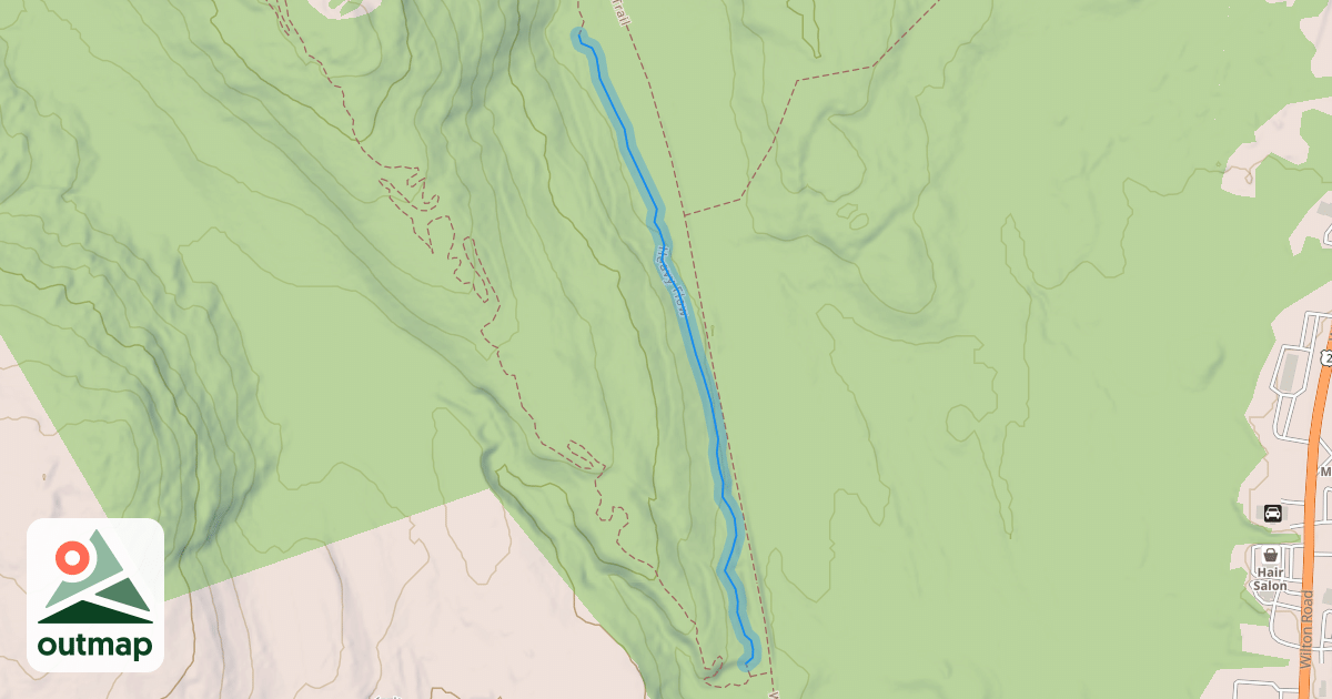 Map of Heavy Flow