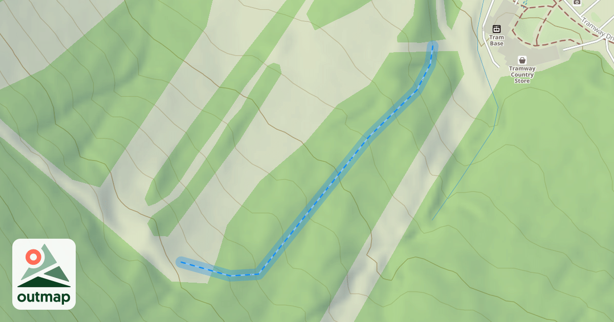 Map of Banshee Glade