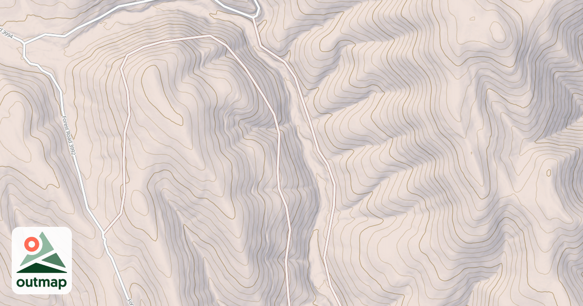 Map of USFS National Forest System Roads {3BB7F364-59C3-4621-90E7-6B33ADA26512}