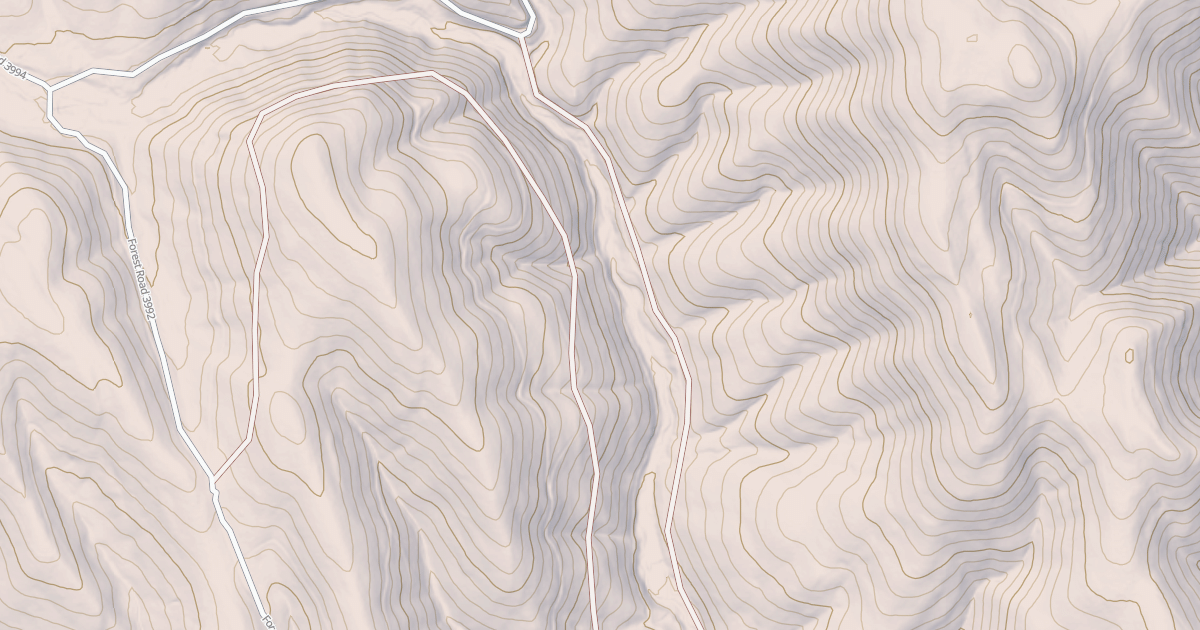 Map preview of USFS National Forest System Roads {3BB7F364-59C3-4621-90E7-6B33ADA26512}