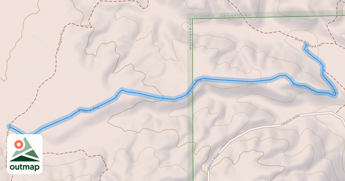 Map of Ziggy's Zag