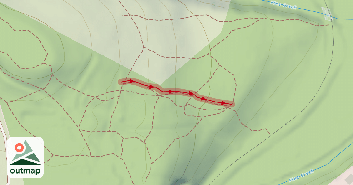Map of (MTB 5 downhill)