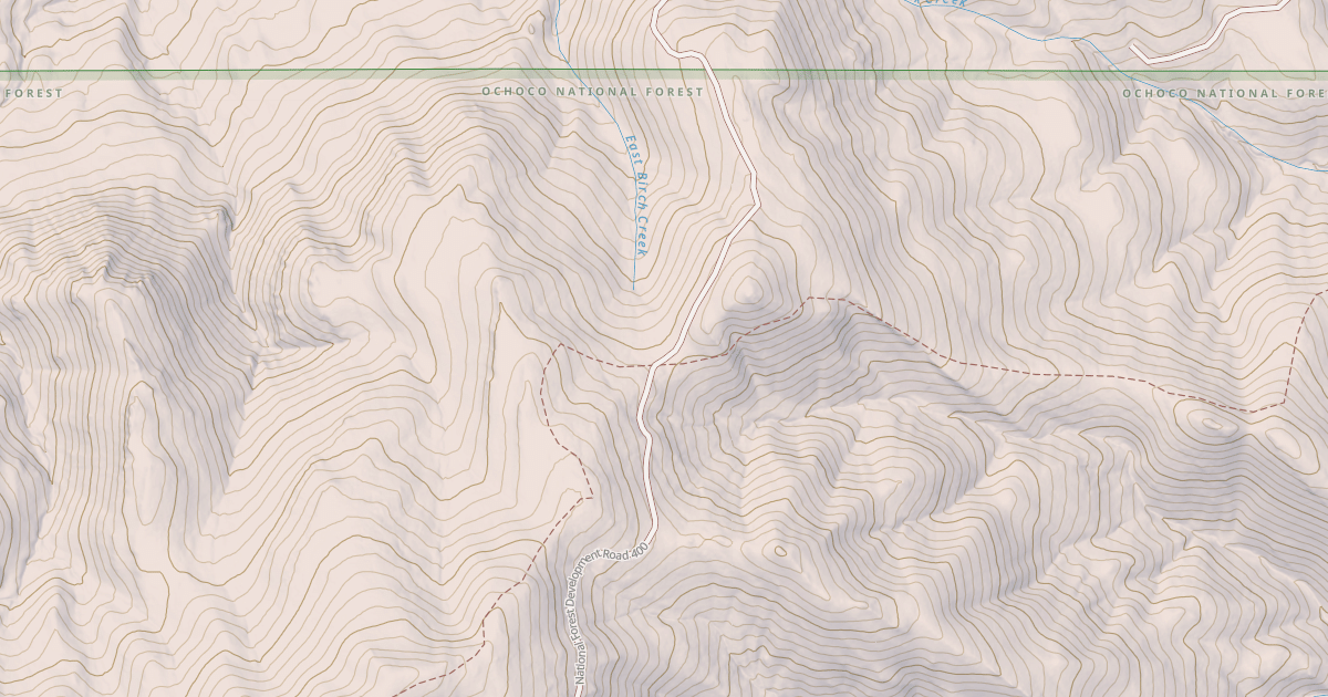 Map preview of USFS National Forest System Roads {CE3CD374-DC6B-4170-B499-765615D0C607}
