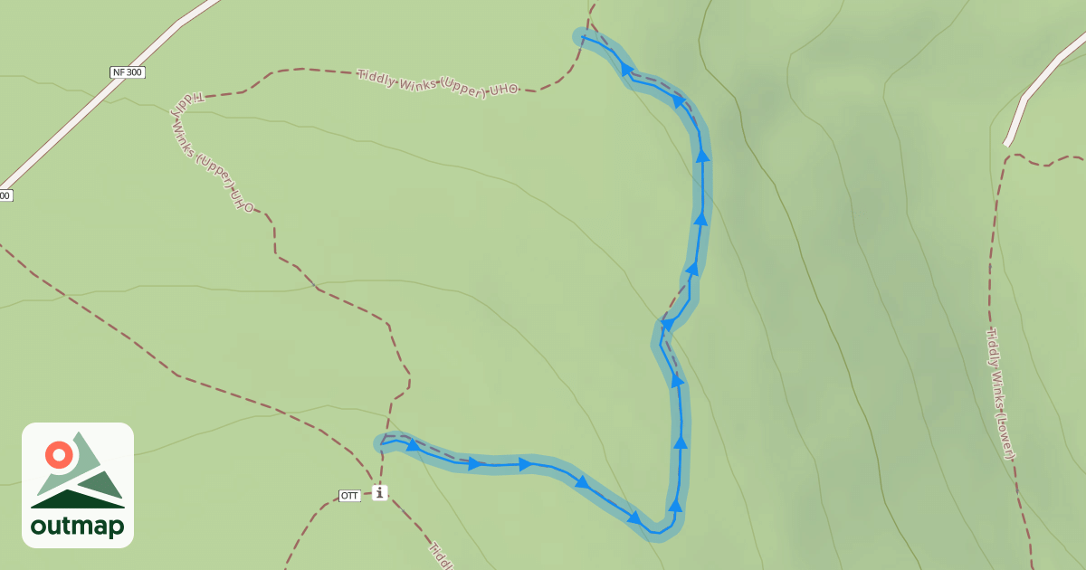 Map of Tiddly Winks (Upper) DHO