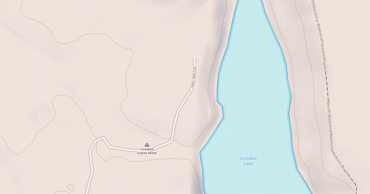 Map preview of CONDON LAKE CAMP LOOP