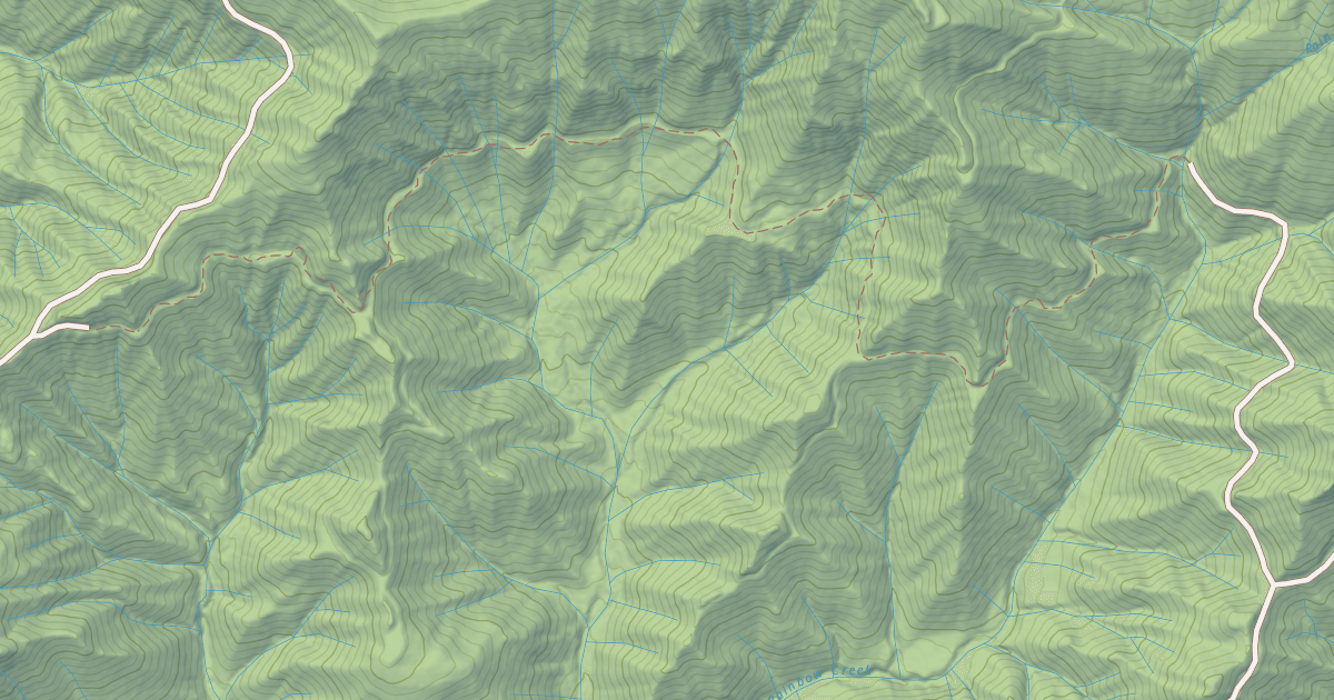 Map preview of USFS National Forest System Roads {211F0567-45C8-46EE-AC81-A6DF53C2C876}