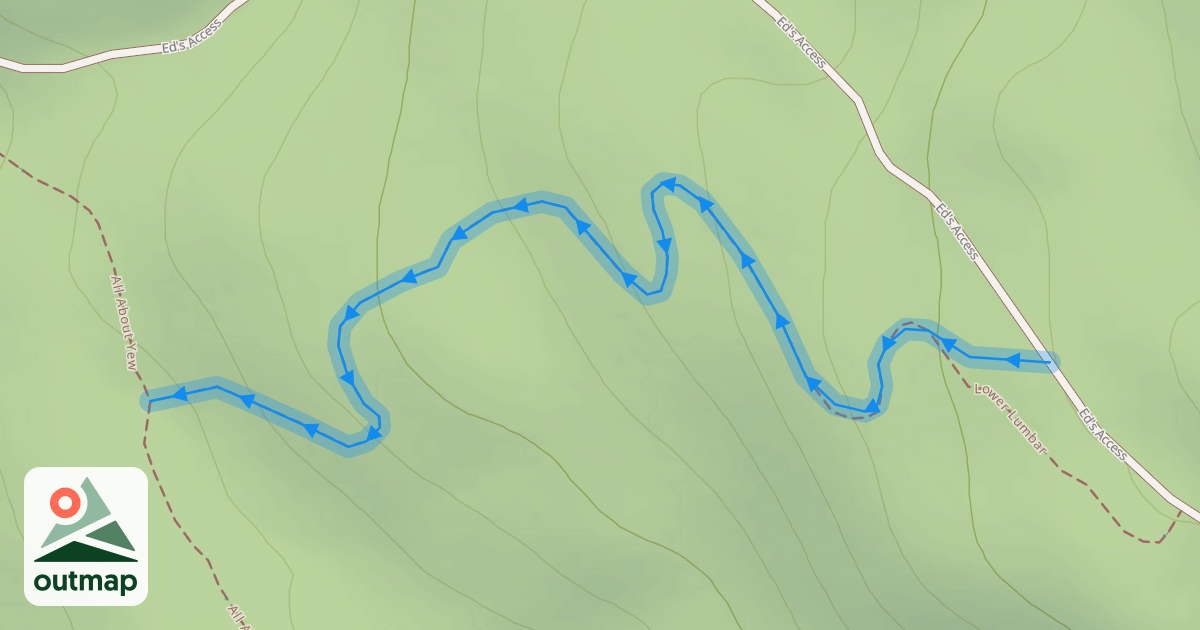 Map of Lower Lumbar